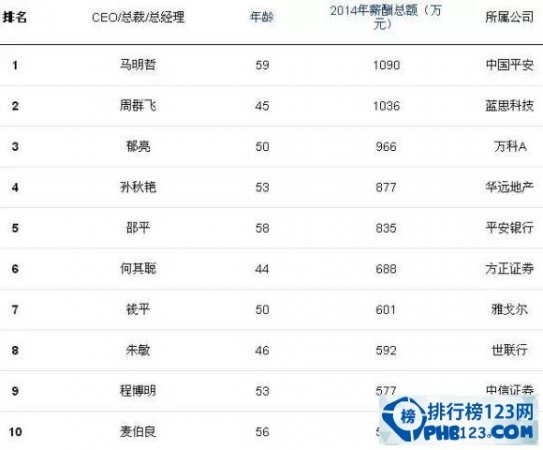 <b><font color='#FF0000'>中国年薪最高的人</font></b>